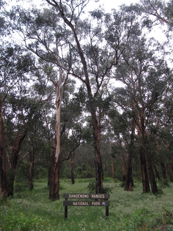 Dandenong Ranges National Park, Australia