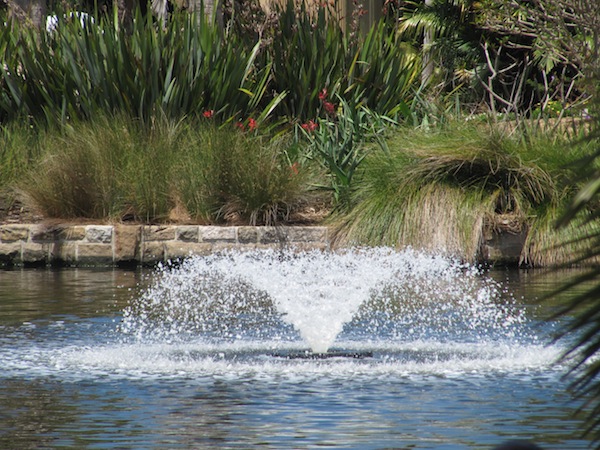 Fountain in the Royal Botanic Gardens