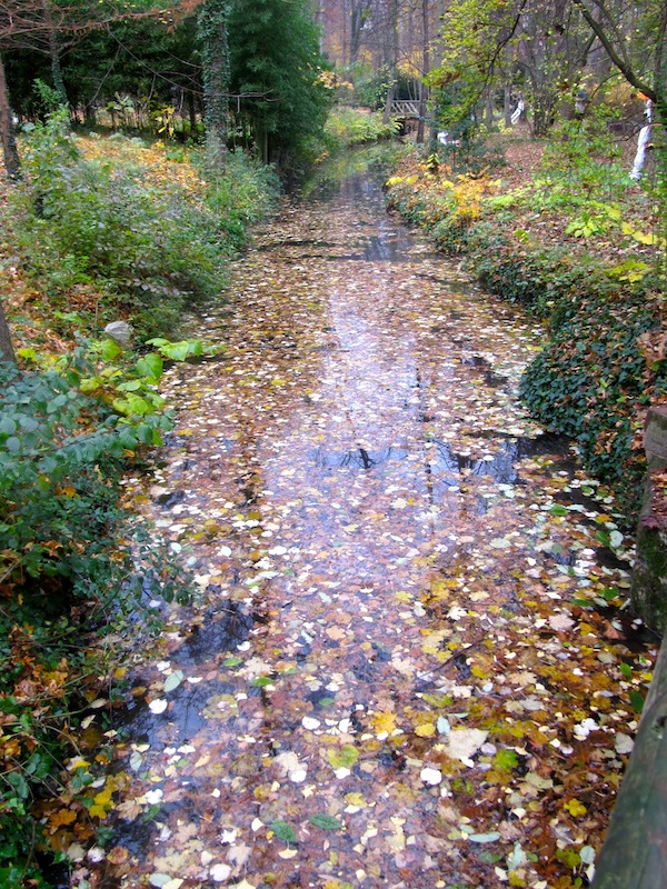 A stream crowned by fallen leaves.