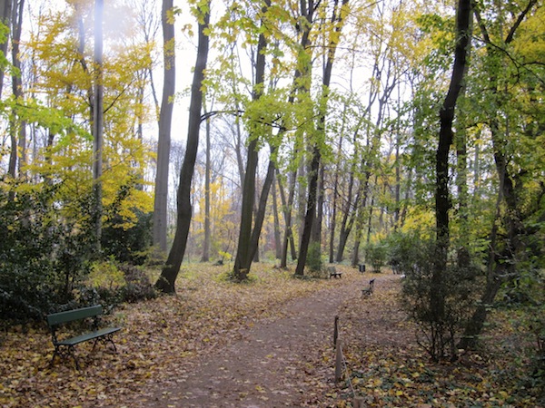 The exhibits lined a wooded section of the park.