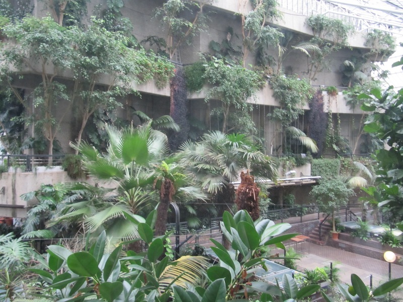 An indoor garden within the Barbican