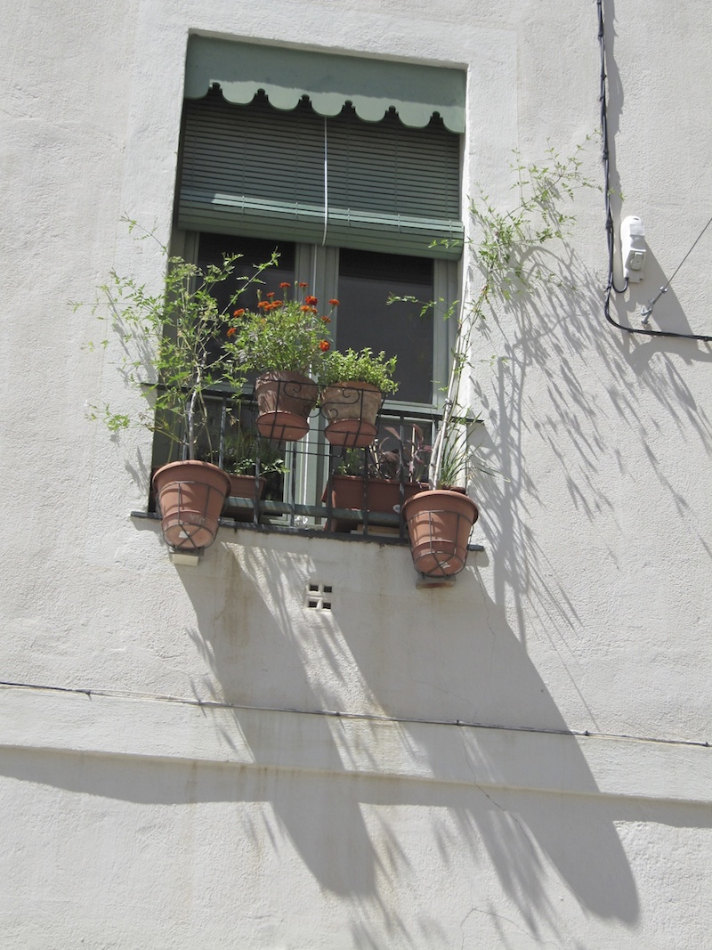 Window and flower pots