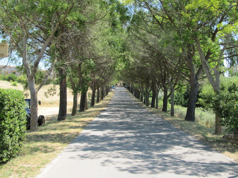 Shaded road leading up to Villars