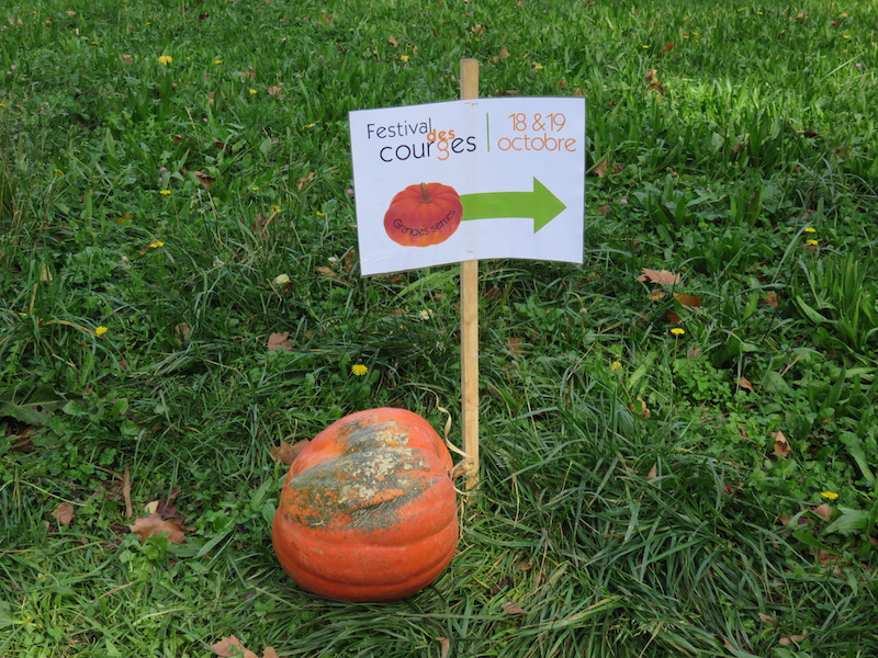 Festival des Courges / Pumpkin Festival in Lyon, France