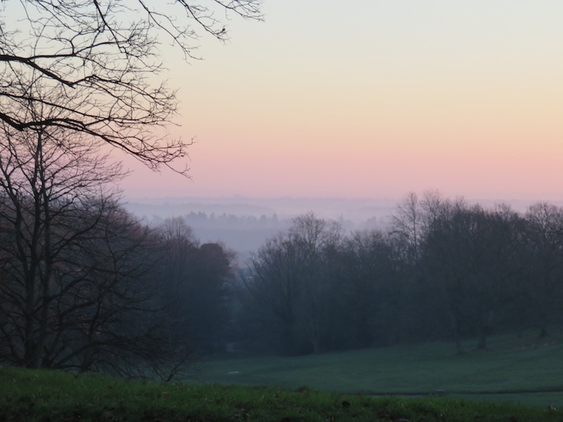 Dawn over common land in the United Kingdom.