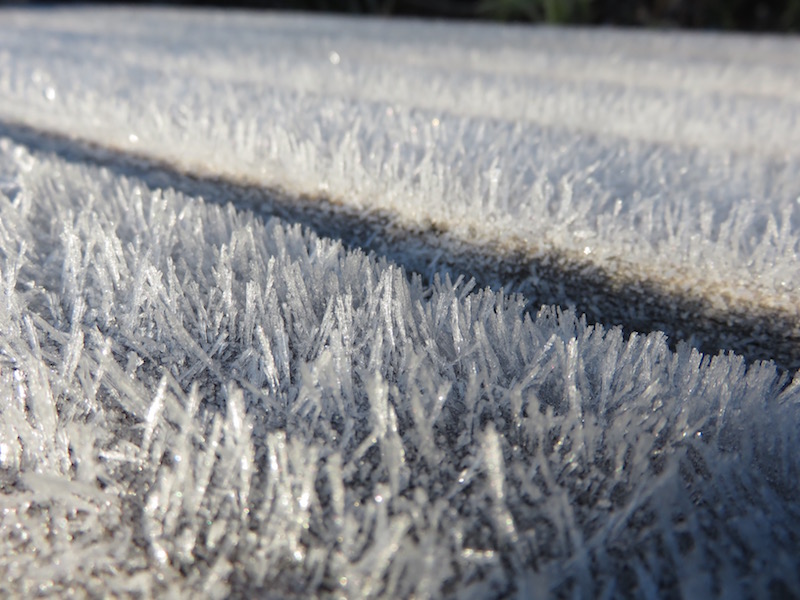 Frost covered the benches.