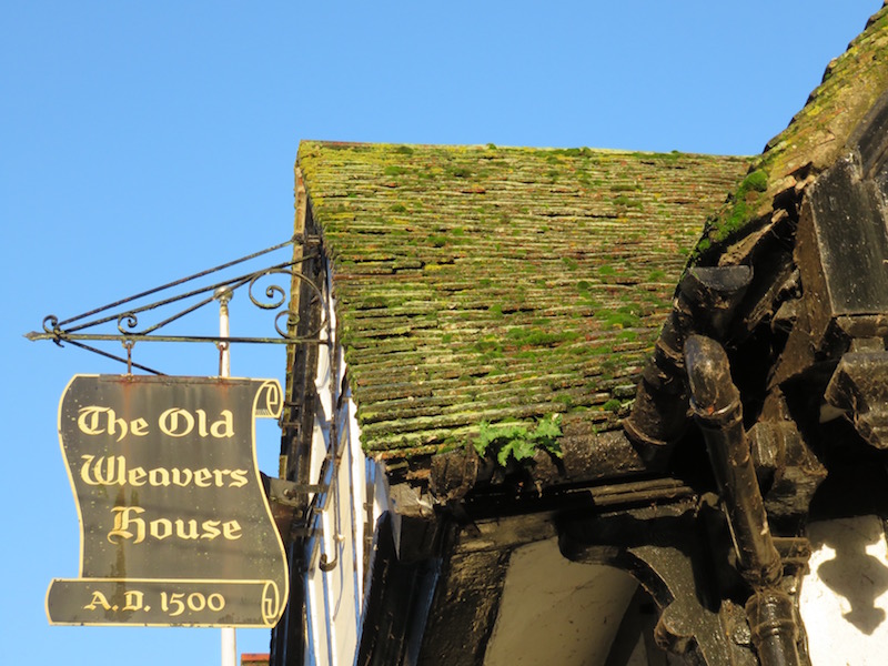 Moss growing on an old pub in Canterbury.