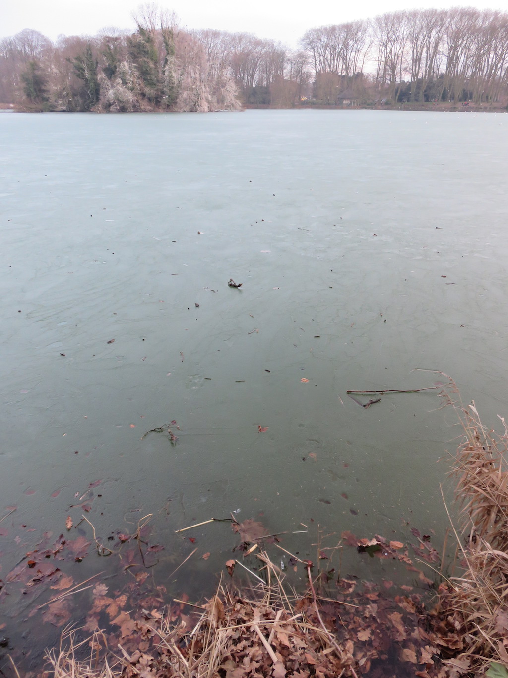 The lake is frozen edge to edge.