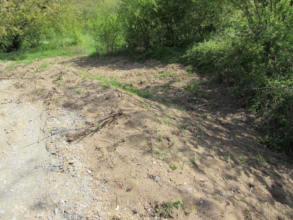 Our future wildflower garden