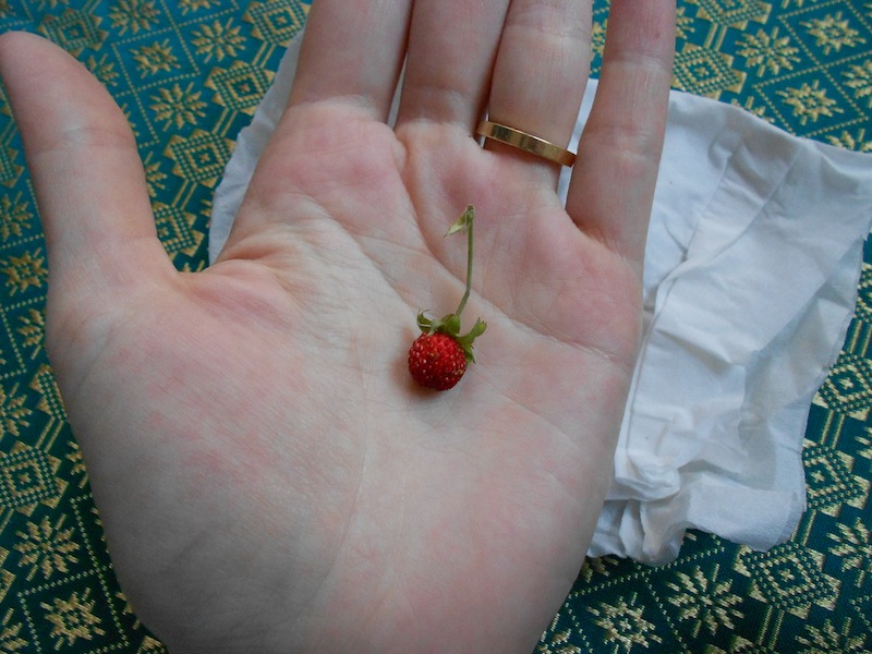 One tiny strawberry