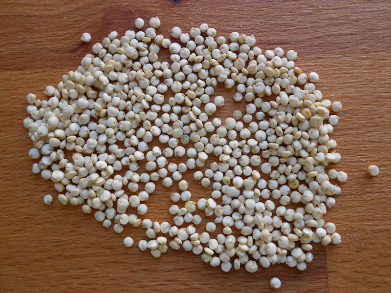 Uncooked quinoa grains