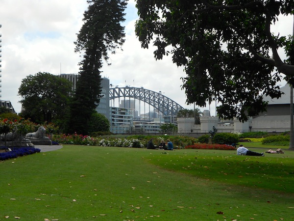View of the Harbour Bridge from the Botanic Gardens