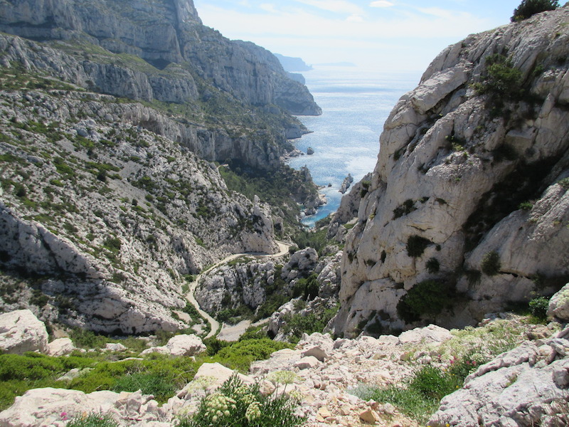 Path winding down to the calanque